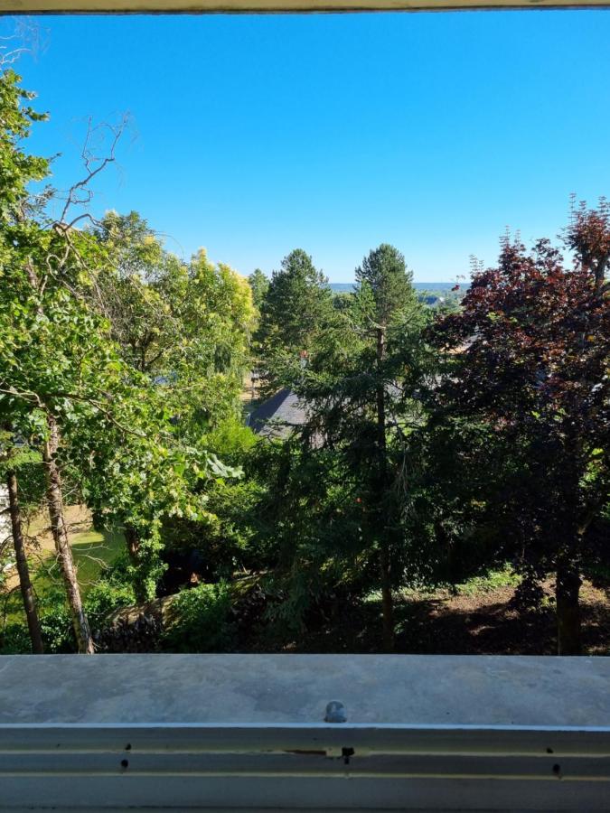 Location Saisonniere Appartement Situe A Saumur Zewnętrze zdjęcie